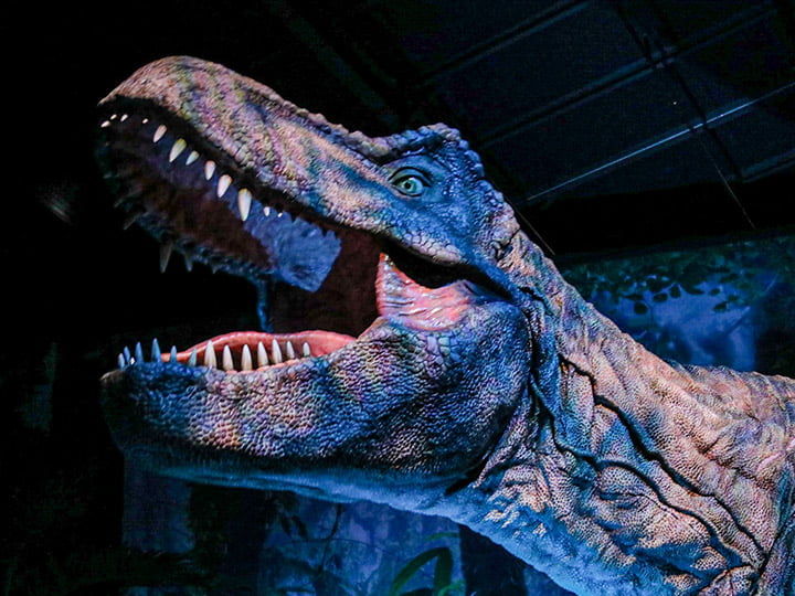 Tickets Are Now On Sale For Jurassic World: The Exhibition North American Tour Launching In North Texas On June 18, 2021