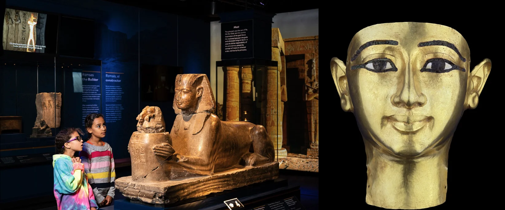 De-Young-Museum-Image