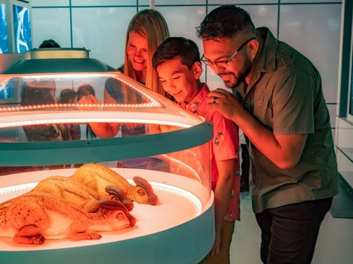 Jurassic World: The Exhibition with Roaming Dinosaurs Set to Launch Soon