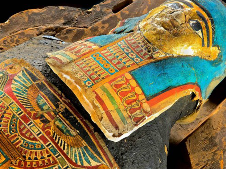 Mummies of the World: The Exhibition