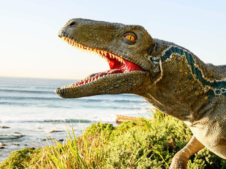Clever Girl: A Roaming Seven-Foot Velociraptor Just Turned Bondi Beach Into ‘Jurassic World’