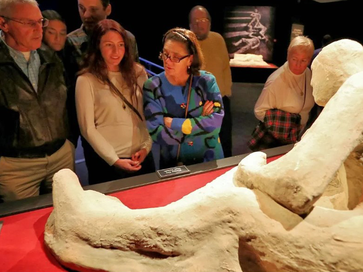 Cincinnati Museum Center’s new exhibit to explore Pompeii, with over 150 artifacts from Italy