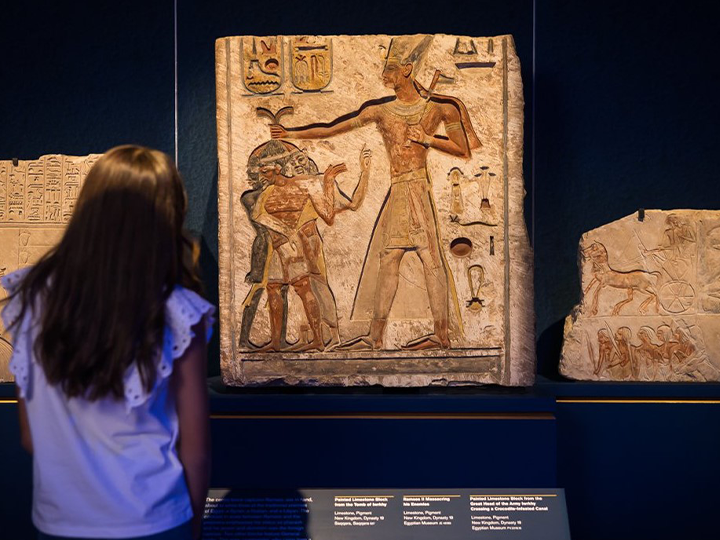 Ramses & the Gold of the Pharaohs: A Resurgence of Ancient Egypt Fascination at the Australian Museum